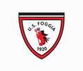 Leggi: Us Foggia: gi partita la campagna abbonamenti per la stagione 20011/2012