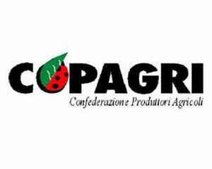 Copagri: SOS alle Istituzioni:'La concorrenza sleale sui mercati ci mette in ginocchio. Sostenere la nostra agricoltura'