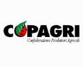 Leggi: Copagri: SOS alle Istituzioni:'La concorrenza sleale sui mercati ci mette in ginocchio. Sostenere la nostra agricoltura'